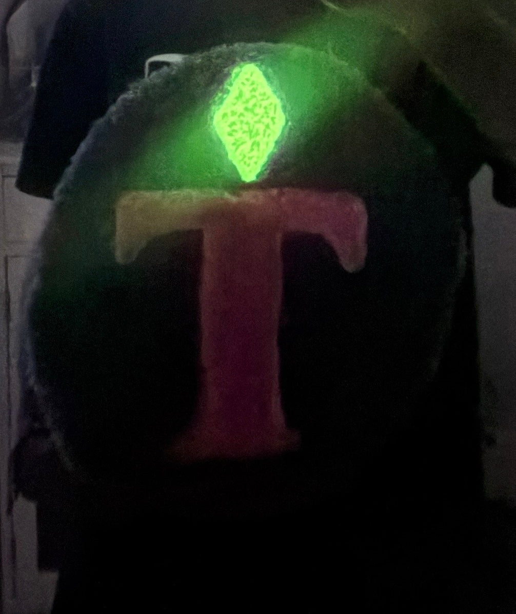 Glow in the dark Custom Sims letter Rug